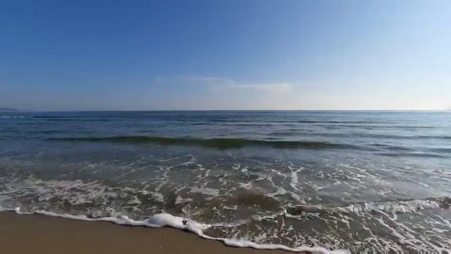 Шум выходного дня. смотреть онлайн