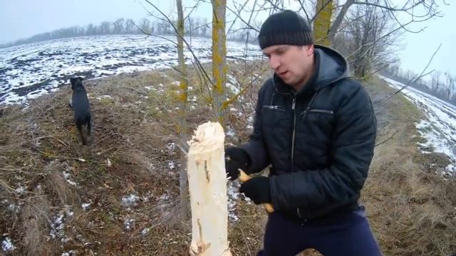 Солонец для зайца своими руками смотреть онлайн