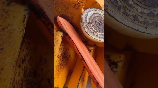 Тыквенный крем-суп! Рецепт в Телеграмм ?