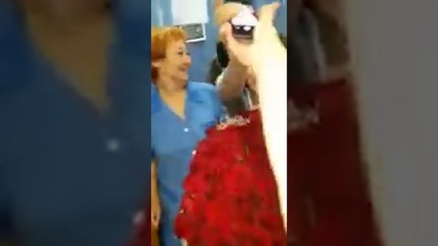 Юбилей моей мамулички!101 роза смотреть онлайн
