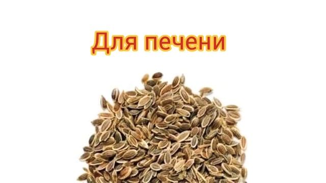 СЕМЕНА УКРОПА!!! СЕМЕНА ВОЗРОЖДЕНИЯ! РЕЦЕПТЫ СЕМЯН УКРОПА!!! Врачи этого не знают... #семенаукропа смотреть онлайн