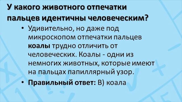 Онлайн КВИЗ "Мозг'On" смотреть онлайн