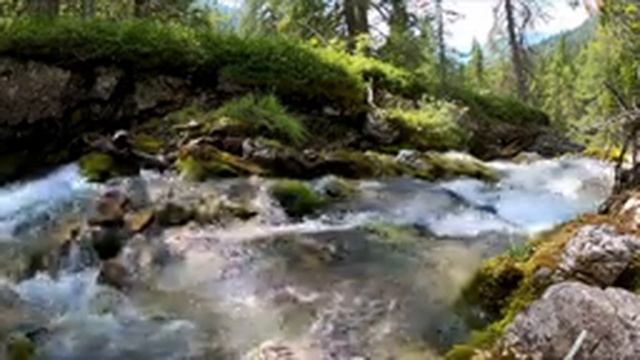 Звуки природы, Звуки Леса, для релаксации, сна, Медитации, Relax 8 часов смотреть онлайн