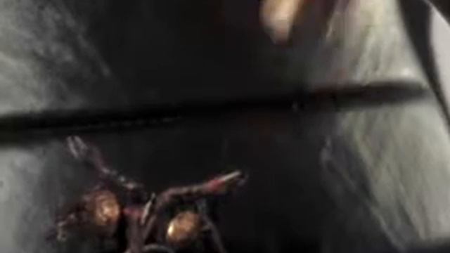 Warhammer 40k demon Prince review смотреть онлайн