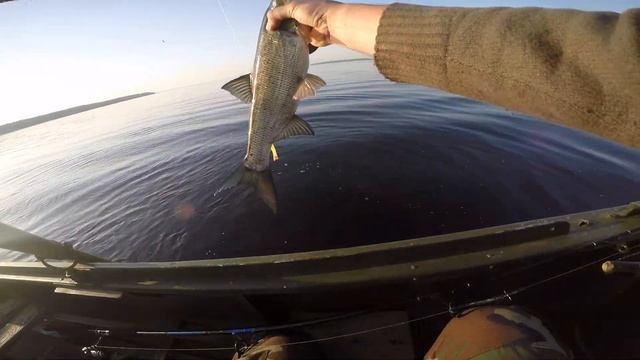 Рыбалка Дубна смотреть онлайн