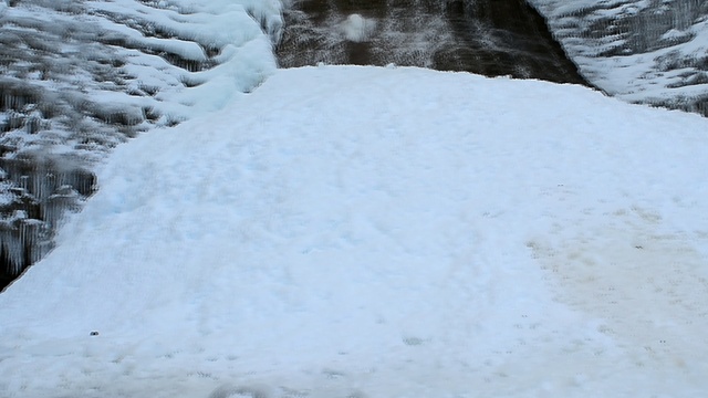 DSC_7358 смотреть онлайн