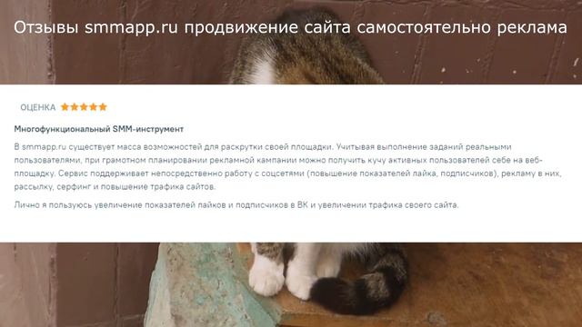Отзывы smmapp.ru продвижение сайта самостоятельно реклама смотреть онлайн