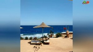 обзор отеля Otium Park Amphoras Blu Resort 4* (Ex. Otium Hotel Aloha Sharm 4*)...