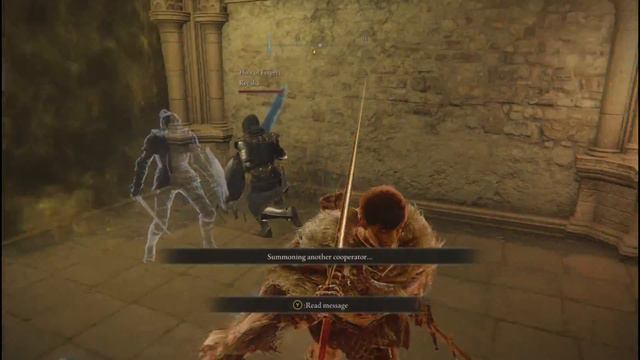 Elden Ring Co-op in a Nutshell смотреть онлайн