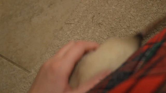 УТРО ? МОИХ ЖИВОТНЫХ? ?/ ЧТО я делаю ПО УТРАМ? / ЧЕМ КОРМЛЮ КРОЛИКА ? смотреть онлайн