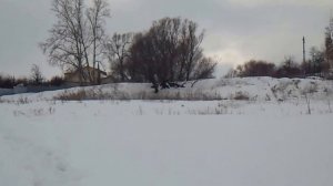 МОТОСОБАКА  МУХТАР 7