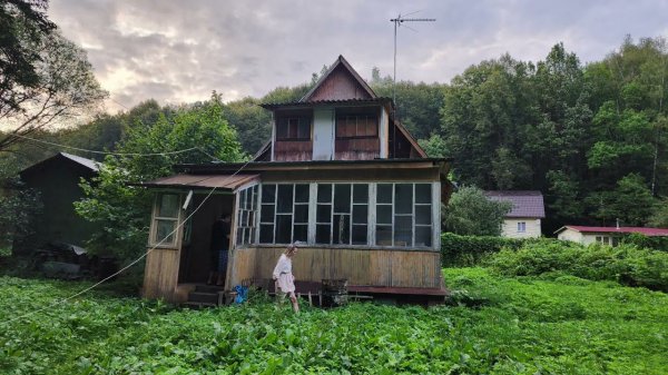 Как мы в дачу влюбились с первого взгляда и купили через час!
