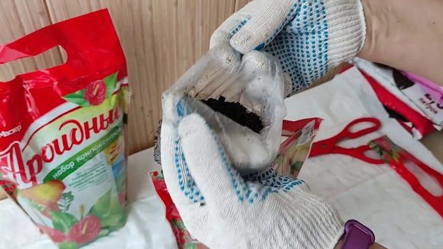 Грунт для мужского и женского счастья, ароидные смотреть онлайн