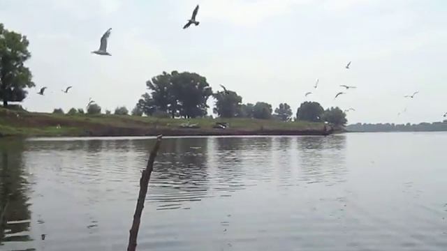 Ахтуба-2013. с.Сокрутовка. смотреть онлайн