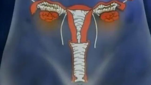 Тело человека: мочевой пузырь. смотреть онлайн