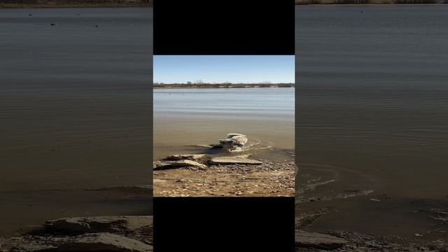 Любитель водоемов смотреть онлайн