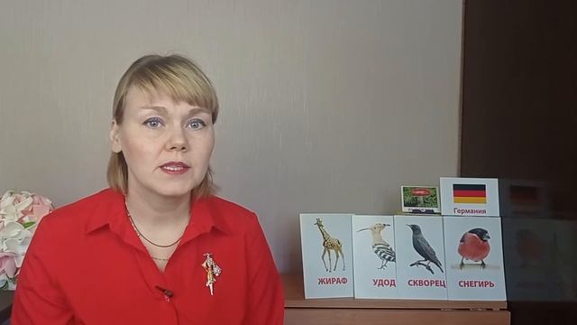 КАРТОЧКИ ДОМАНА: учим ребенка/ что, как, когда/ Раздаю бесплатно смотреть онлайн