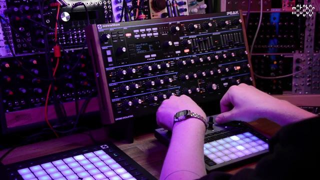 Techno jam - Looping and sampling with NOVATION PEAK & RHYTHM смотреть онлайн