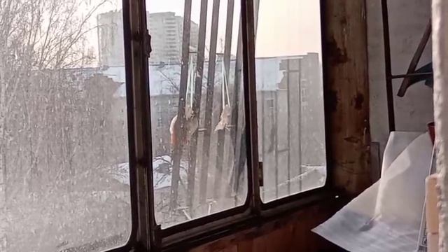 Дятел любит сало смотреть онлайн