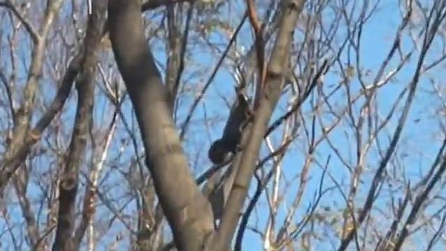 ВЛАДИВОСТОК - ПРИЧАЛ ВОСХОДА + ЧЕМ СПАСЁТСЯ МИР? смотреть онлайн