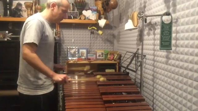 Xylophon смотреть онлайн