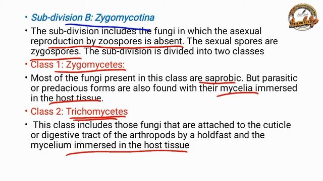 Classification of fungi - Ainsworth system of classification lecture in pashto смотреть онлайн