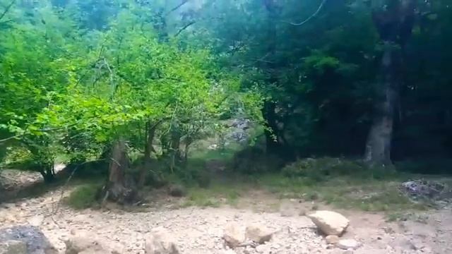 ЗЕМЕЛЬНЫЙ УЧАСТОК в СОСНАХ возле горной Реки / в окружении ГОР / КРЫМ / ЯЛТА / АЛУПКА смотреть онлайн