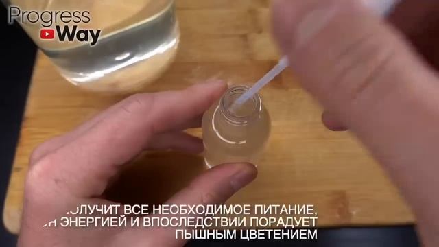 1 Чайная Ложка под любой домашний цветок и он мощно позеленеет и пышно зацветет!+10 Мировых Рецепто смотреть онлайн