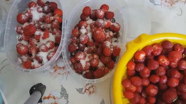 ЛУЧШИЙ СПОСОБ ЗАМОРОЗКИ ЯГОД! АССОРТИ. смотреть онлайн