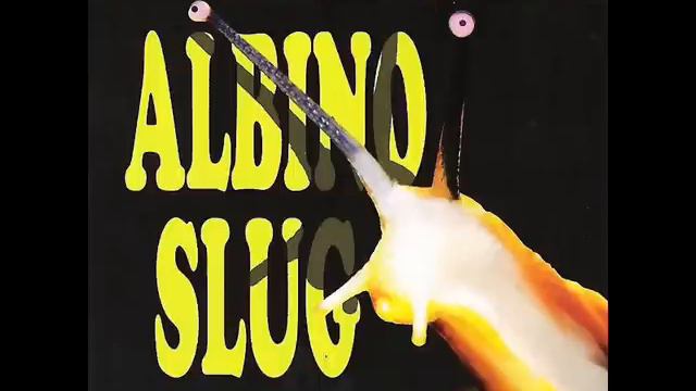 Buckethead -The Redeem Team