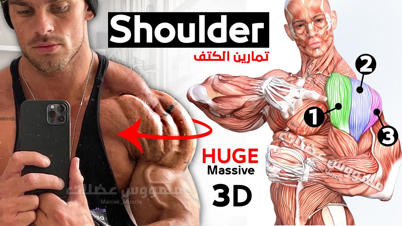 Как быстро накачать плечи (7 эффективных упражнений) смотреть онлайн