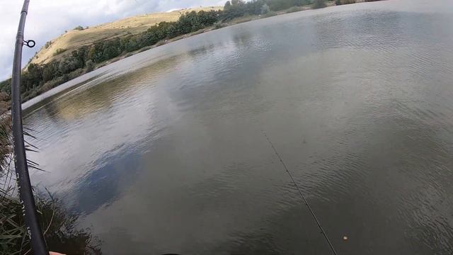 NEBUNIE La BUZA Stufului în LOCAȚIE NOUĂ La Feeder - Pesti SUPERBI în MAL, Valea Lui Mihai, Alba смотреть онлайн