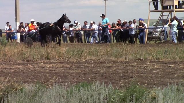 Конно - спортивные соревнования/с.Кизильское 2022г