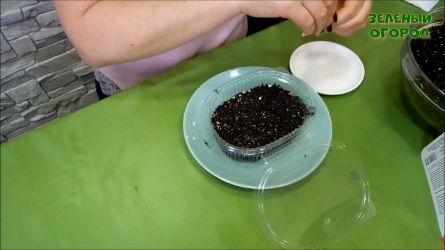 Посев КЛУБНИКИ под СНЕГ! Советы от ЗЕЛЕНОГО ОГОРОДА! смотреть онлайн