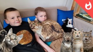 Котики ждут вас в меховом кафе в Калуге /Котокафе