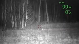 Pulsar Digisight LRF N970 тест дальномера № 2