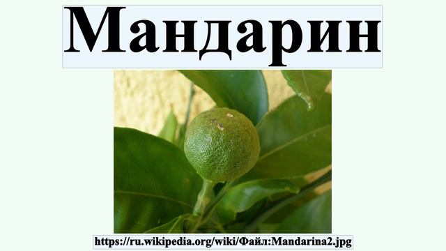 Мандарин смотреть онлайн