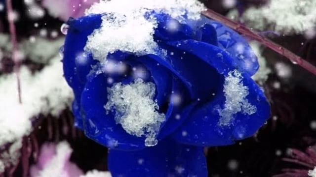 Галина с Днем Рождения! смотреть онлайн