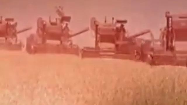 Zdob Si Zdub   Бунэ диминяца!   Buna Dimineata!