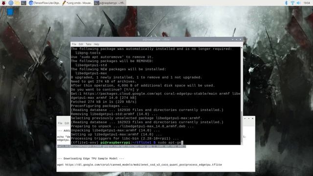 How to Use the Coral USB Accelerator with the Raspberry Pi - Increase TensorFlow Lite FPS! смотреть онлайн