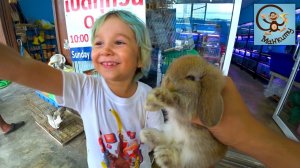 Артём и Милан ищут новых жителей для домика в зоомагазине. МанкиТайм