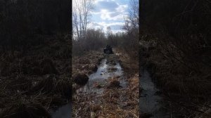 Болотоход Зверь по болотам