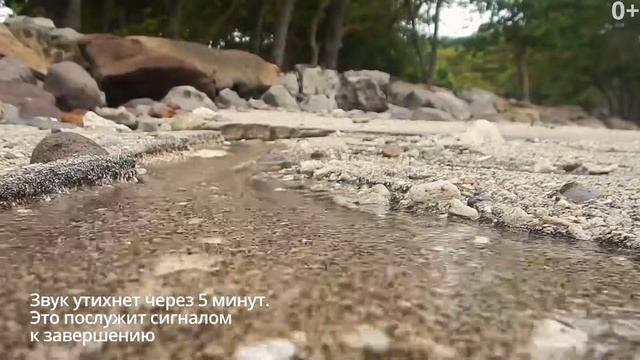 Звуки природы: вода и птицы. Для медитации, релаксации 5 минут. смотреть онлайн