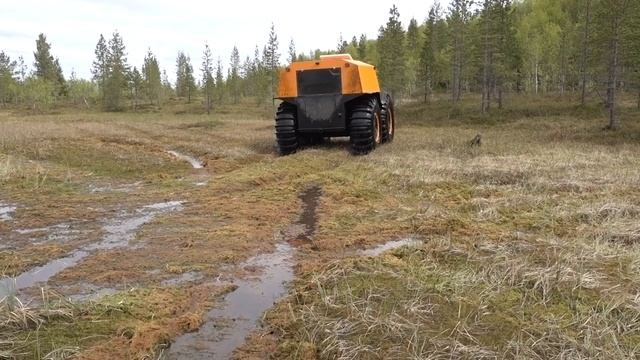 Шрек и Сашок первое знакомство) смотреть онлайн