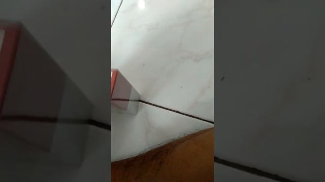 Unboxing Ferrari Essence Oud,,Muantabbb смотреть онлайн
