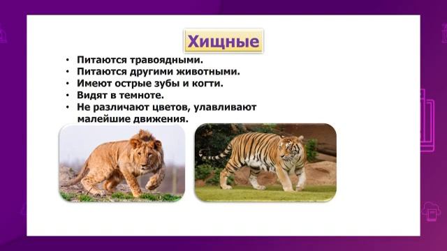Естествознание. 4 класс. Почему животные питаются разной пищей. Как животные получают энергию смотреть онлайн