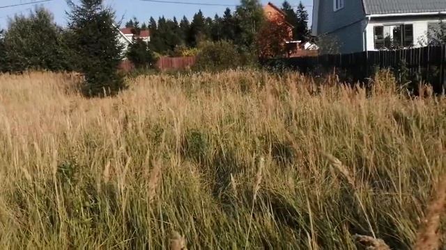 Продажа участка 8 соток СНТ Лотос смотреть онлайн