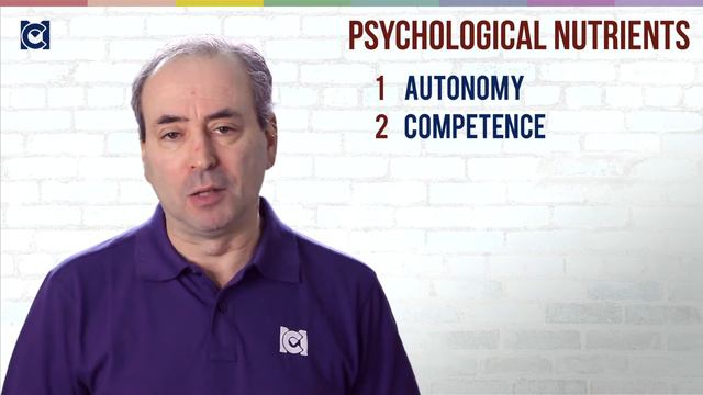 Ryan & Deci: Self Determination Theory (SDT) - Content Models of Motivation смотреть онлайн