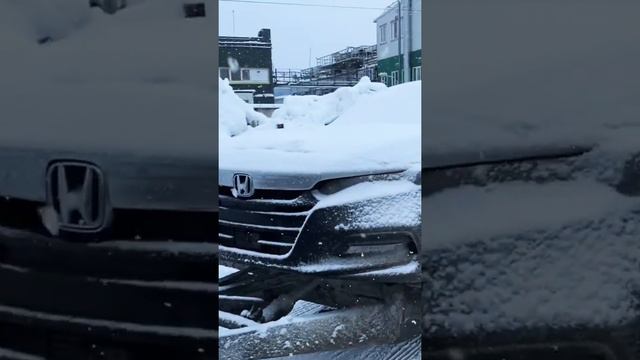 Доставка Ford Escape и Honda Accord из порта Котка Финляндия в Санкт-Петербург для таможни и ремонт смотреть онлайн