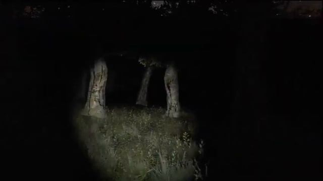 Lets Play Games: White Noise Online смотреть онлайн